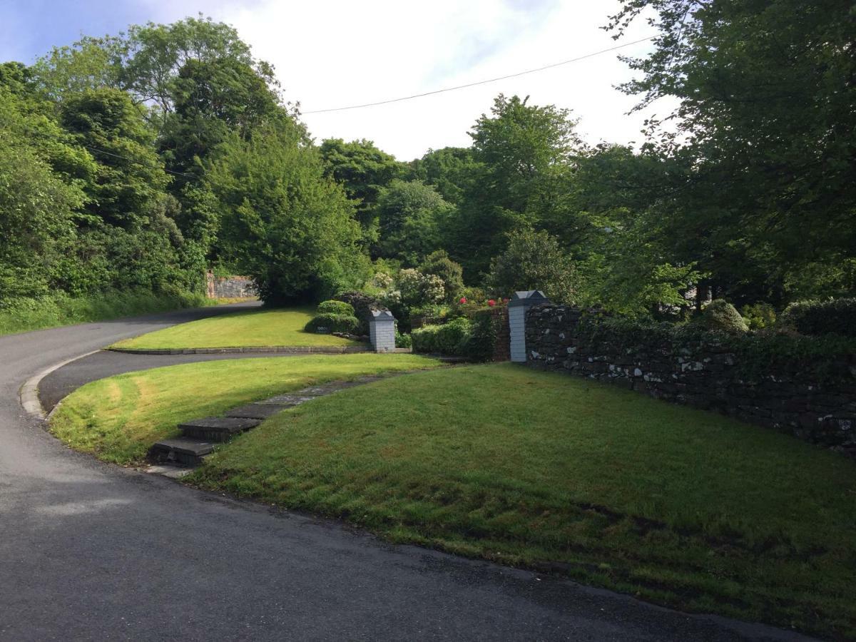 Tudor Lodge Guest Accommodation Bunratty Exterior photo