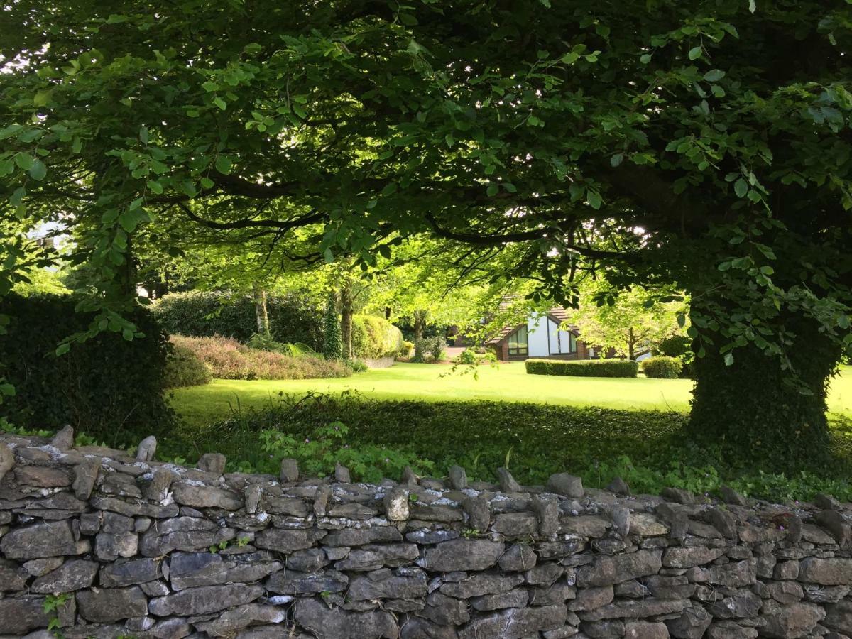 Tudor Lodge Guest Accommodation Bunratty Exterior photo